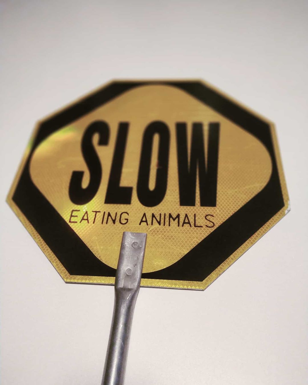 Slow Eating Animals